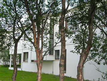 Villa back side
